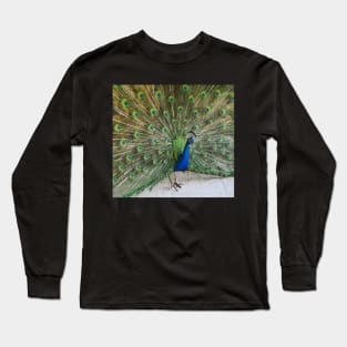 Peacock Long Sleeve T-Shirt